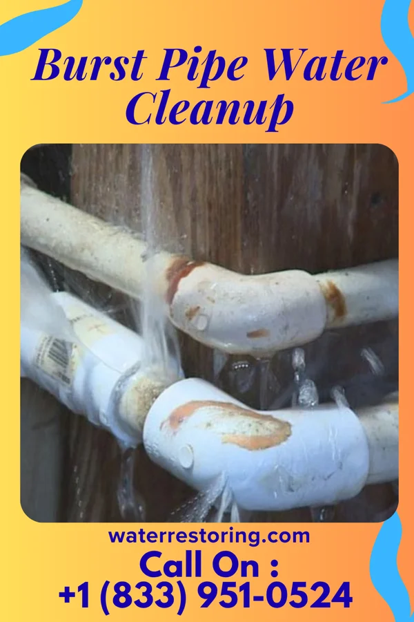 Burst Pipe Water Cleanup in Westlake, OH